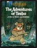 Adventures of Teebo