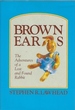 Brown Ears: the Adventures of a Lost-and-Found Rabbit