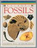 Fossils [Dk Pockets]