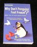 Why Don't Penguins Feet Freeze?