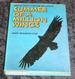 Summer of a Million Wings; : Arctic Quest for the Sea Eagle