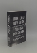 Busted in New York and Other Essays