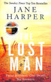 The Lost Man: the Gripping, Page-Turning Crime Classic