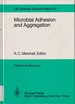 Microbial Adhesion and Aggregation