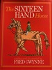 The Sixteen-Hand Horse