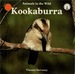 Kookaburra: Animals in the Wild