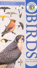 Kingfisher Field Guide to the Birds of Britain and Europe (Kingfisher Field Guides)