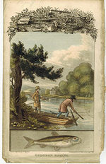 Gudgeon Raking. First Edition of the Aquatint