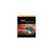 Contemporary Mathematics for Business and Consumers (Paperback)