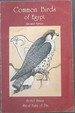 Common Birds of Egypt