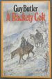 A Rackety Colt: the Adventures of Thomas Stubbs