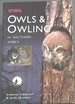 Sasol Owls and Owling in Southern Africa