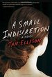 A Small Indiscretion: a Novel