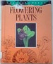 Flowering Plants (Green World)