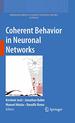 Coherent Behavior in Neuronal Networks (Springer Series in Computational Neuroscience)