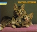 Playful Kittens (Cat Album Series No. 3)