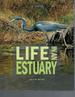 Life in an Estuary: the Chesapeake Bay (Ecoystems in Action)