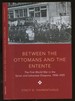 Between the Ottomans and the Entente: the First World War in the Syrian and Lebanese Diaspora, 1908-1925