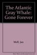 The Atlantic Gray Whale (Gone Forever)