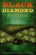 Black Diamond (Anneke Haagen Mysteries)