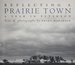 Reflecting a Prairie Town: a Year in Peterson (American Land & Life)