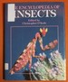 The Encyclopedia of Insects