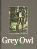 Grey Owl