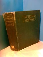 The Grapes of New York [Report of the New York Agricultural Experiment Station for the Year 1907, II]