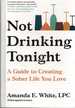 Not Drinking Tonight a Guide to Creating a Sober Life You Love