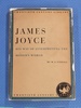 James Joyce: His Way of Interpreting the Modern World