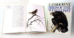 Birds of the West Coast