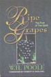 Ripe Grapes the Fruit of the Spirit. a Study of Galatians 5