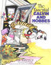 The Essential Calvin and Hobbes: a Calvin and Hobbes Treasury: 2