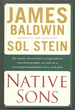 Native Sons: a Friendship That Created One of the Greatest Works of the 20th Century: Notes of a Native Son