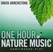 One Hour of Nature Music: For Massage, Yoga and Relaxation