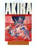 Akira: in the Beginning