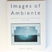 Images of Ambiente: Homotextuality and Latin (O/a) American Art, 1810-Today