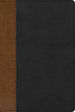 Reina Valera 1960 Biblia De Estudio Arcoiris, Tostado/Negro Smil Piel Con ndice | Rvr 1960 Rainbow Study Bible, Tan/Black Leathertouch, Indexed (Spanish Edition)