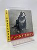Funny Dogs Postcard Book