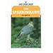 The Sparrowhawk