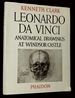 The Drawings of Leonardo Da Vinci in the Collection of Her Majesty the Queen at Windsor Castle: Volume Three [This Volume Only! ]