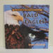 Bald Eagles