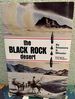 The Black Rock Desert