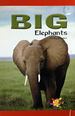 Big Elephants (Real Readers)