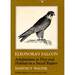 Eleonora's Falcon: Adaptations to Prey and Habitat in a Social Raptor