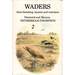 Waders: Their Breeding, Haunts and Watchers