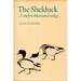 The Shelduck: a Study in Behavioural Ecology