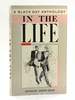 In the Life: a Black Gay Anthology