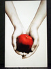 Twilight the First Book in the Twilight Saga Series