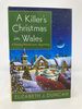 A Killer's Christmas in Wales: a Penny Brannigan Mystery